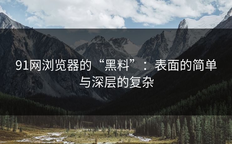 91网浏览器的“黑料”：表面的简单与深层的复杂