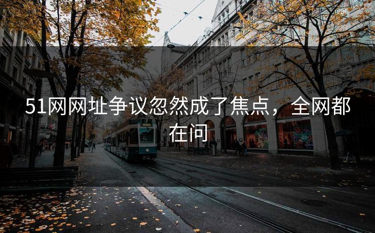 51网网址争议忽然成了焦点，全网都在问